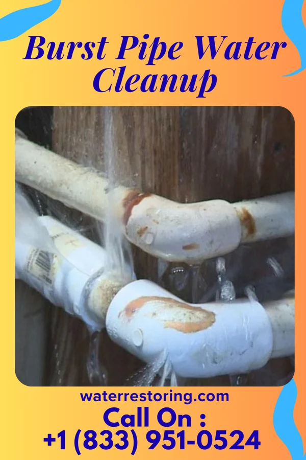 Burst Pipe Water Cleanup in Middleburg Heights, OH