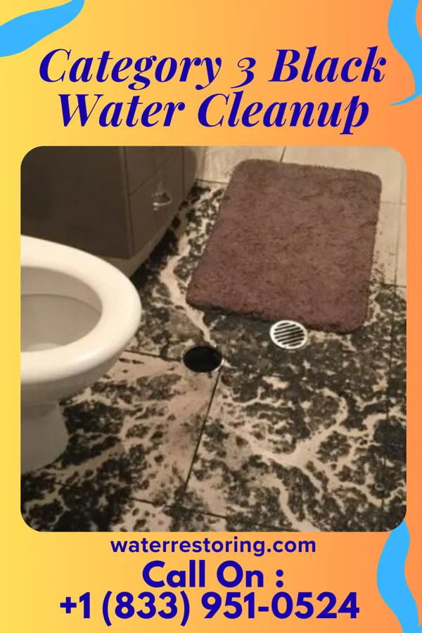 Category 3 Black Water Cleanup in Middleburg Heights, OH